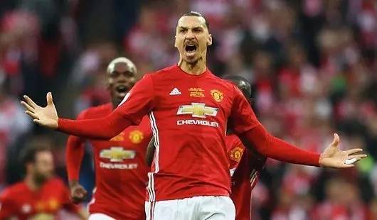 忠诚球迷的 忠诚球迷的